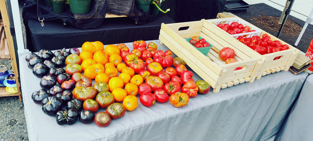 Summer is Served - Sign Up for your 2026 Summer CSA Share Today!