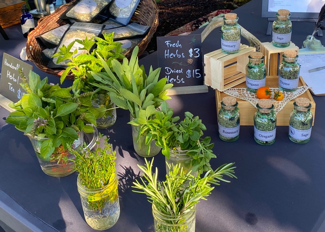 Rediscover the Power of Fresh Culinary Herbs
