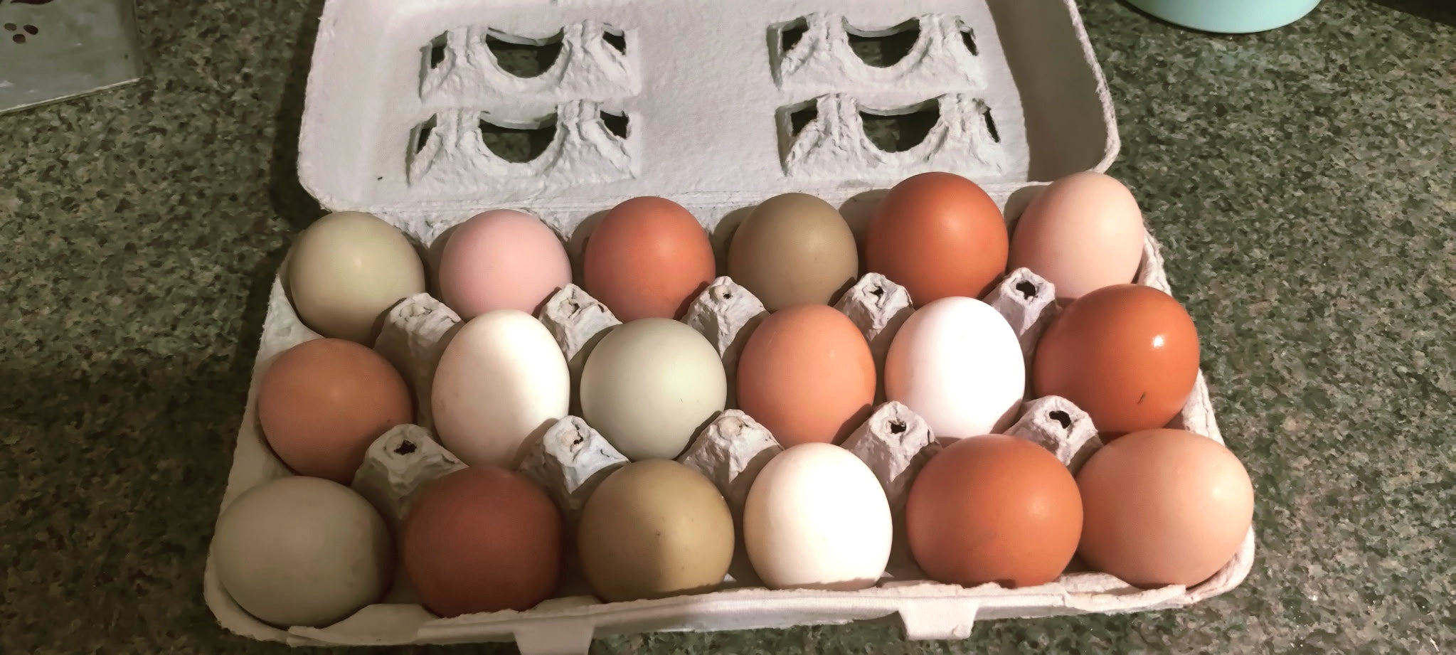 Fresh Chicken Eggs - 1 doz