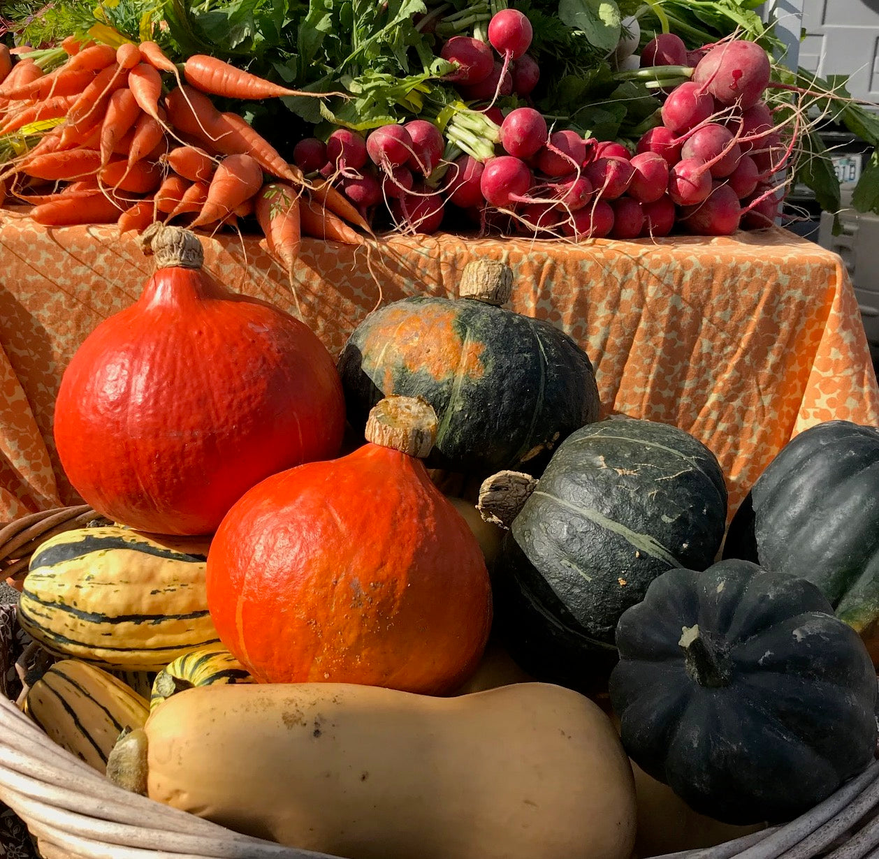 CSA Membership Gift Card